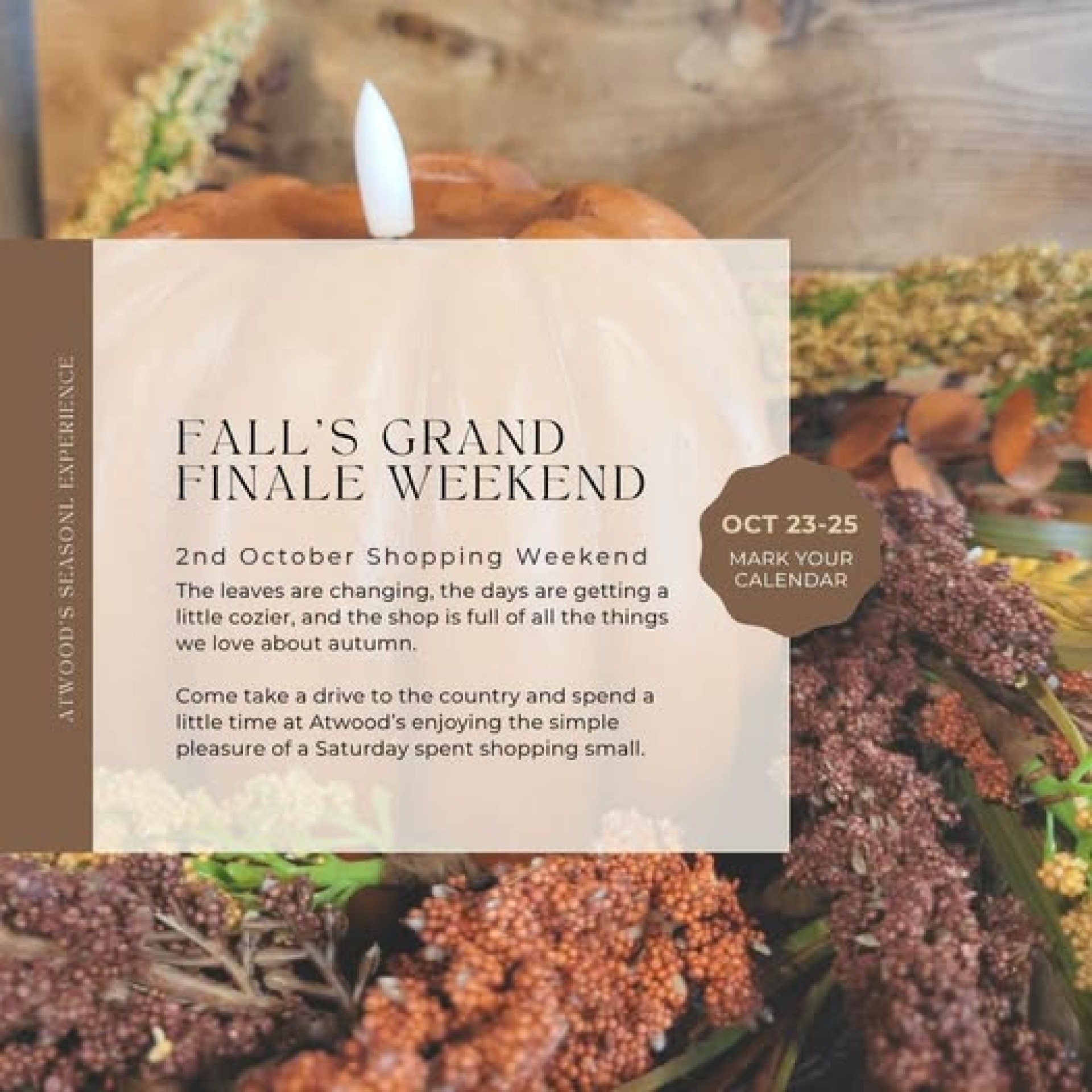 Fall Finale