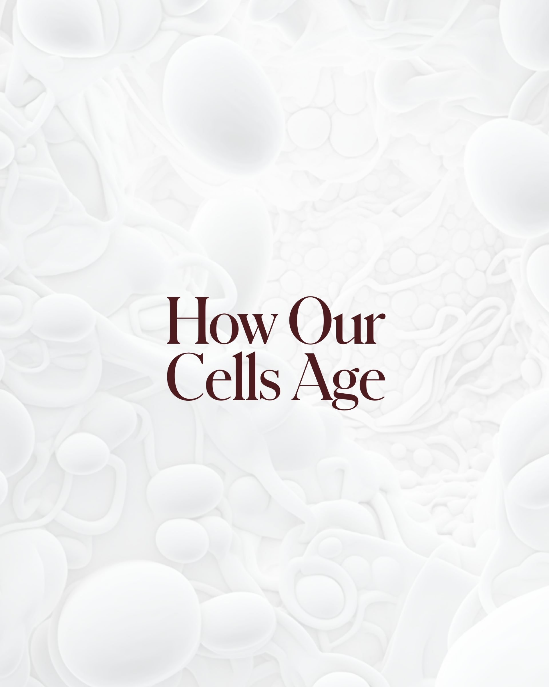 cells age