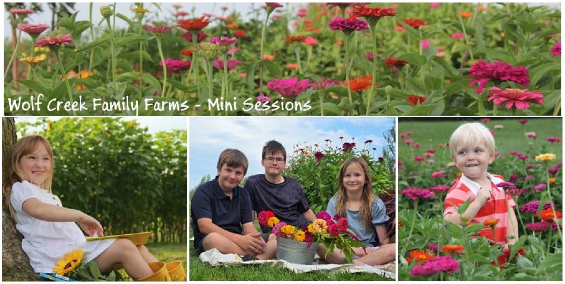 Flower Farm