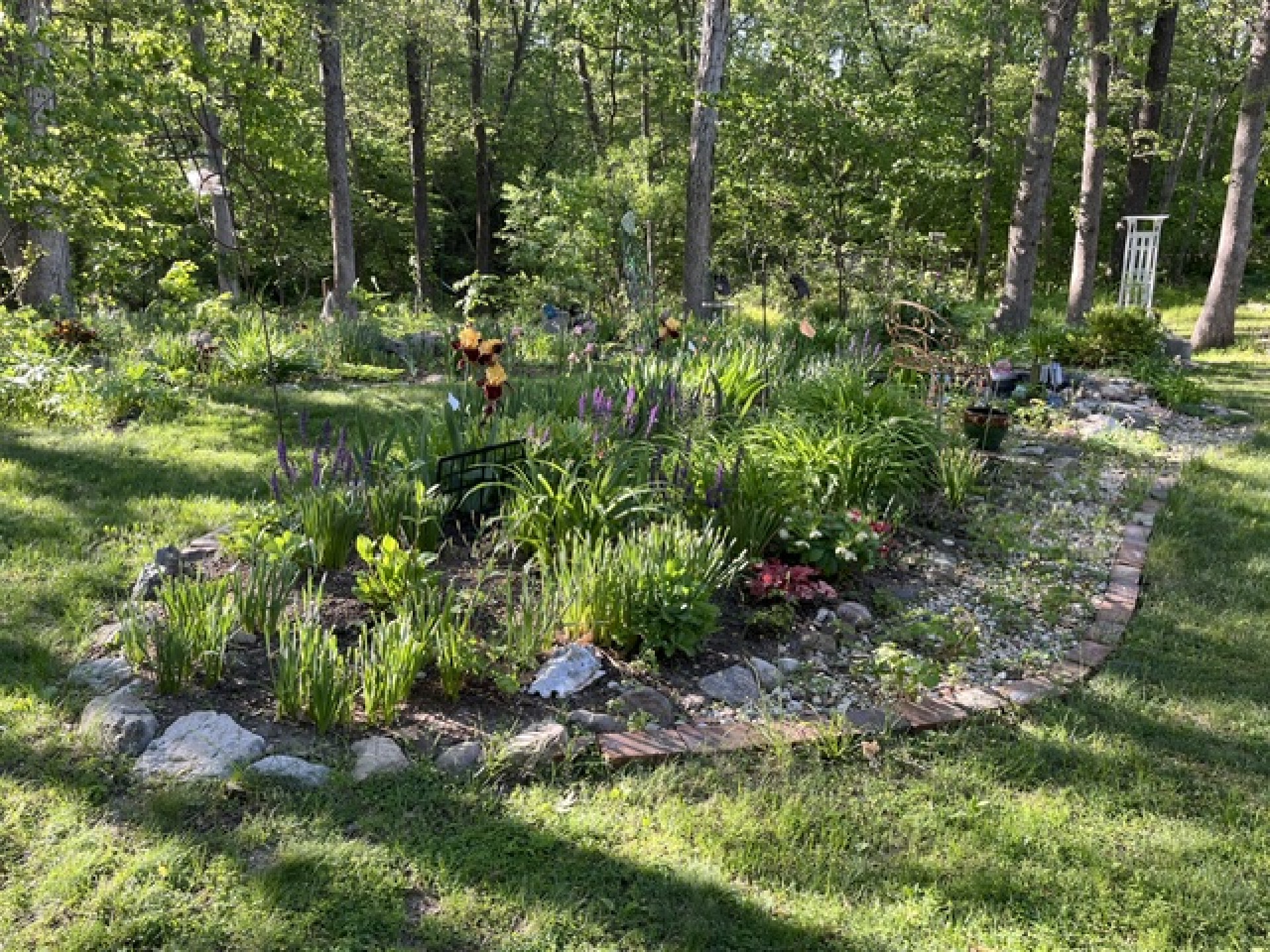 garden