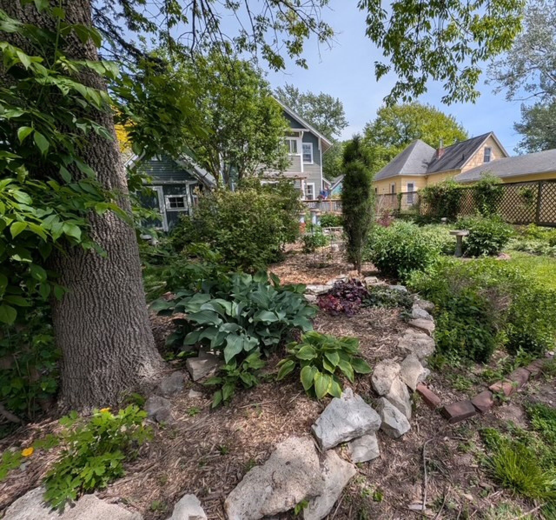 garden