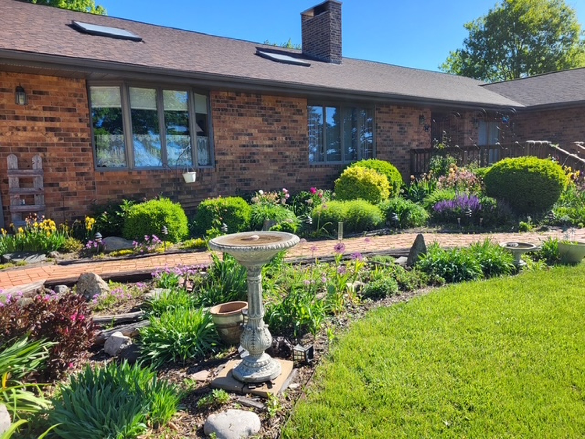 garden