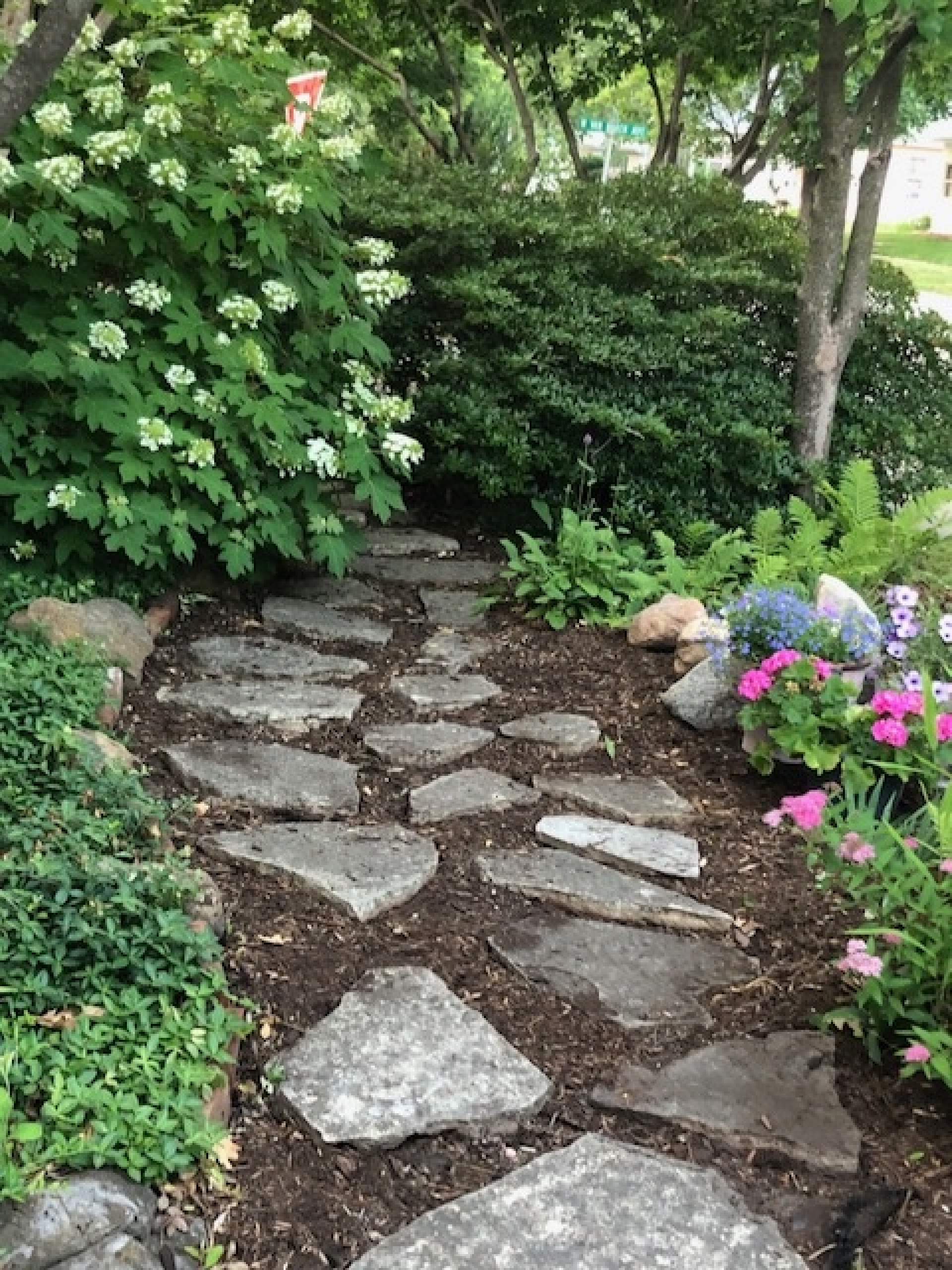 garden