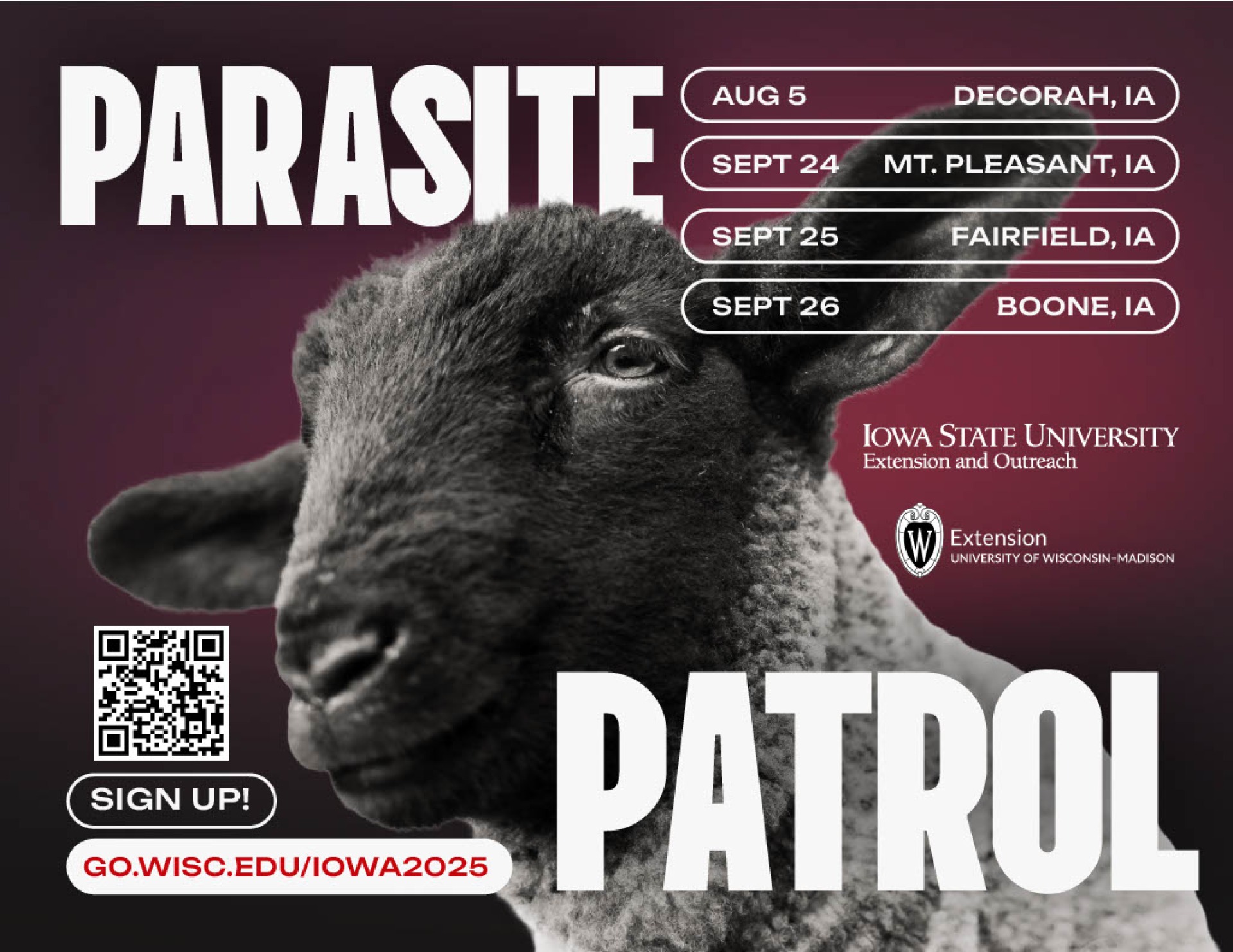 Parasite