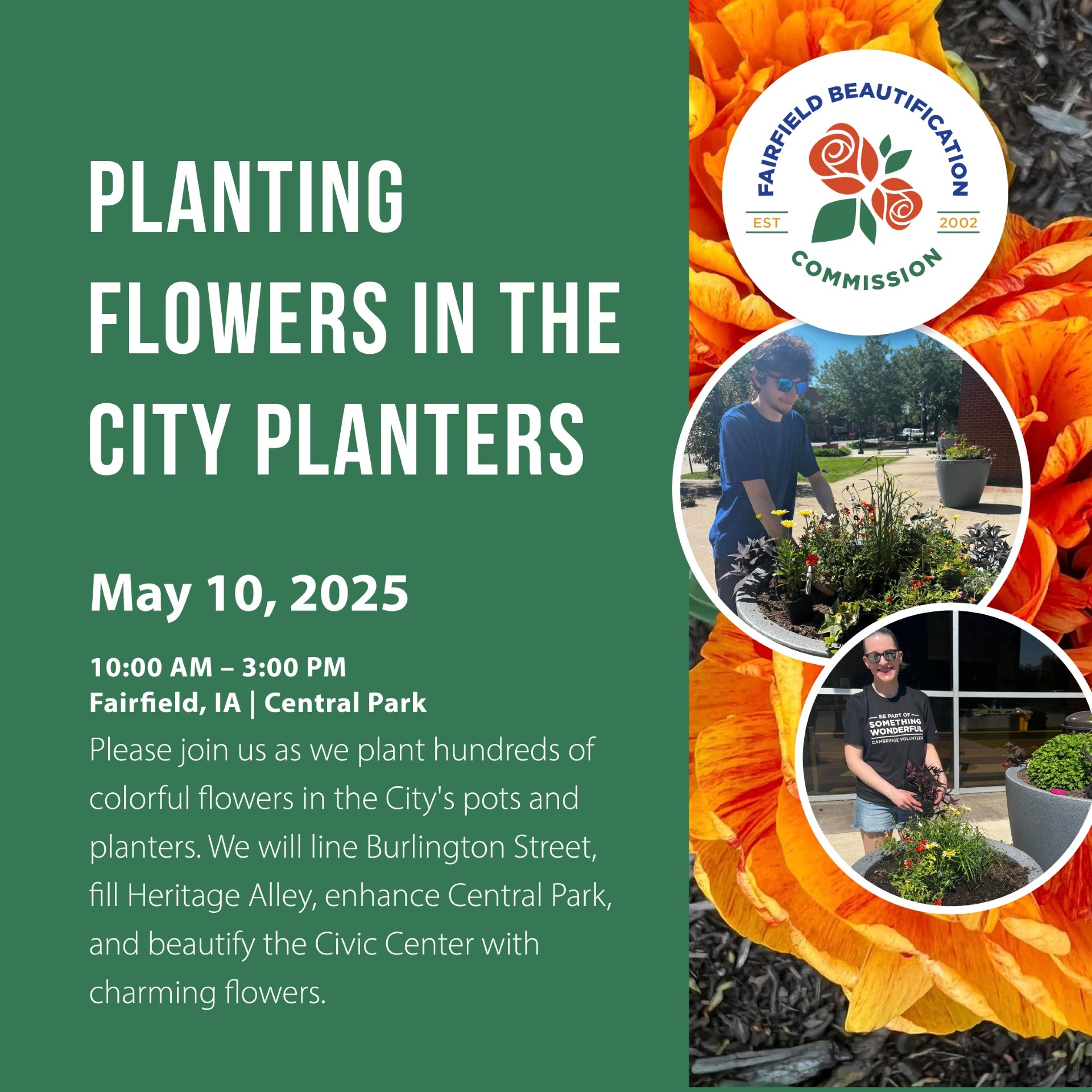 Planting Flowers