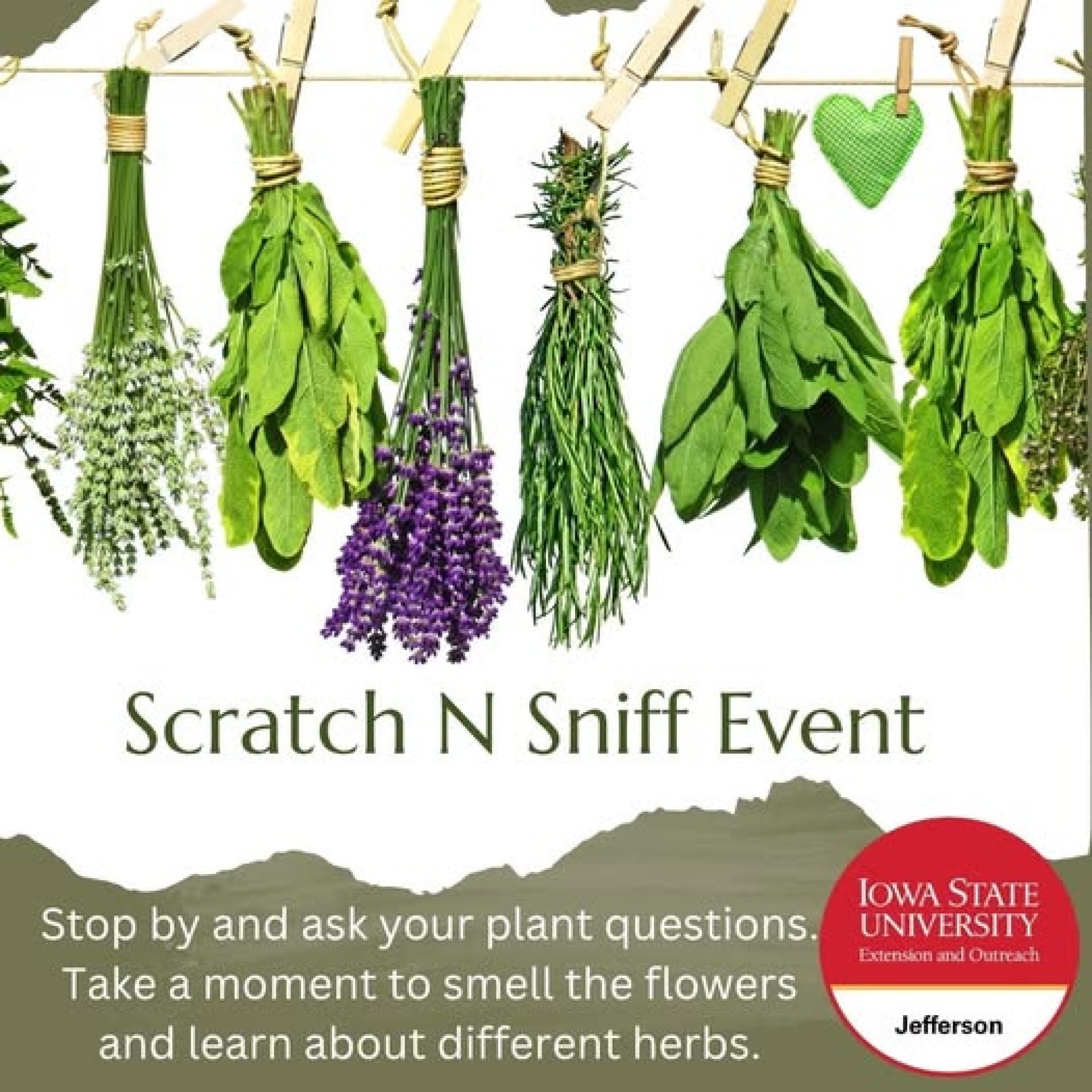 Scratch n Sniff