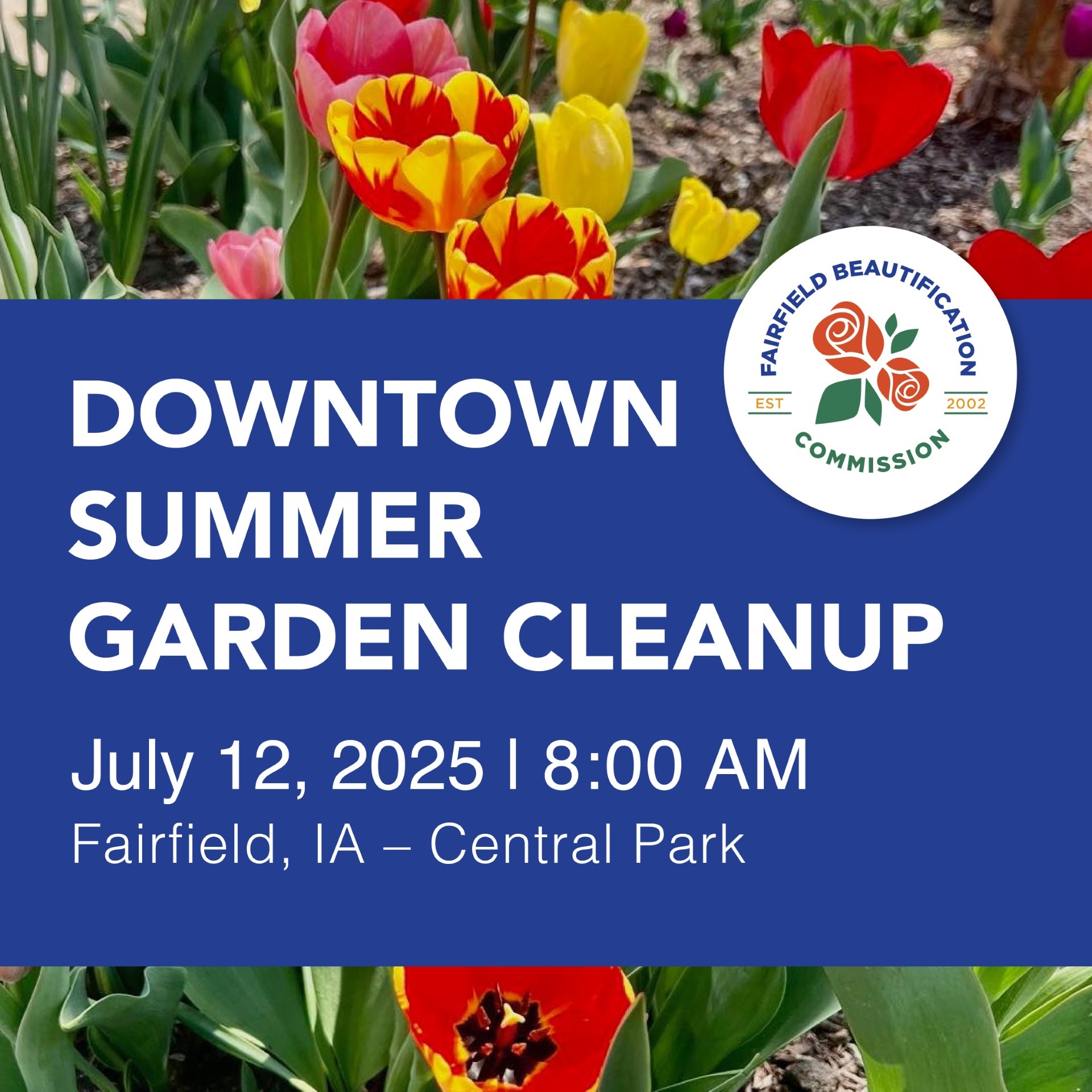 Garden Cleanup