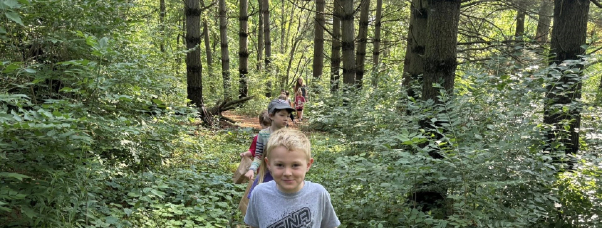 Woods