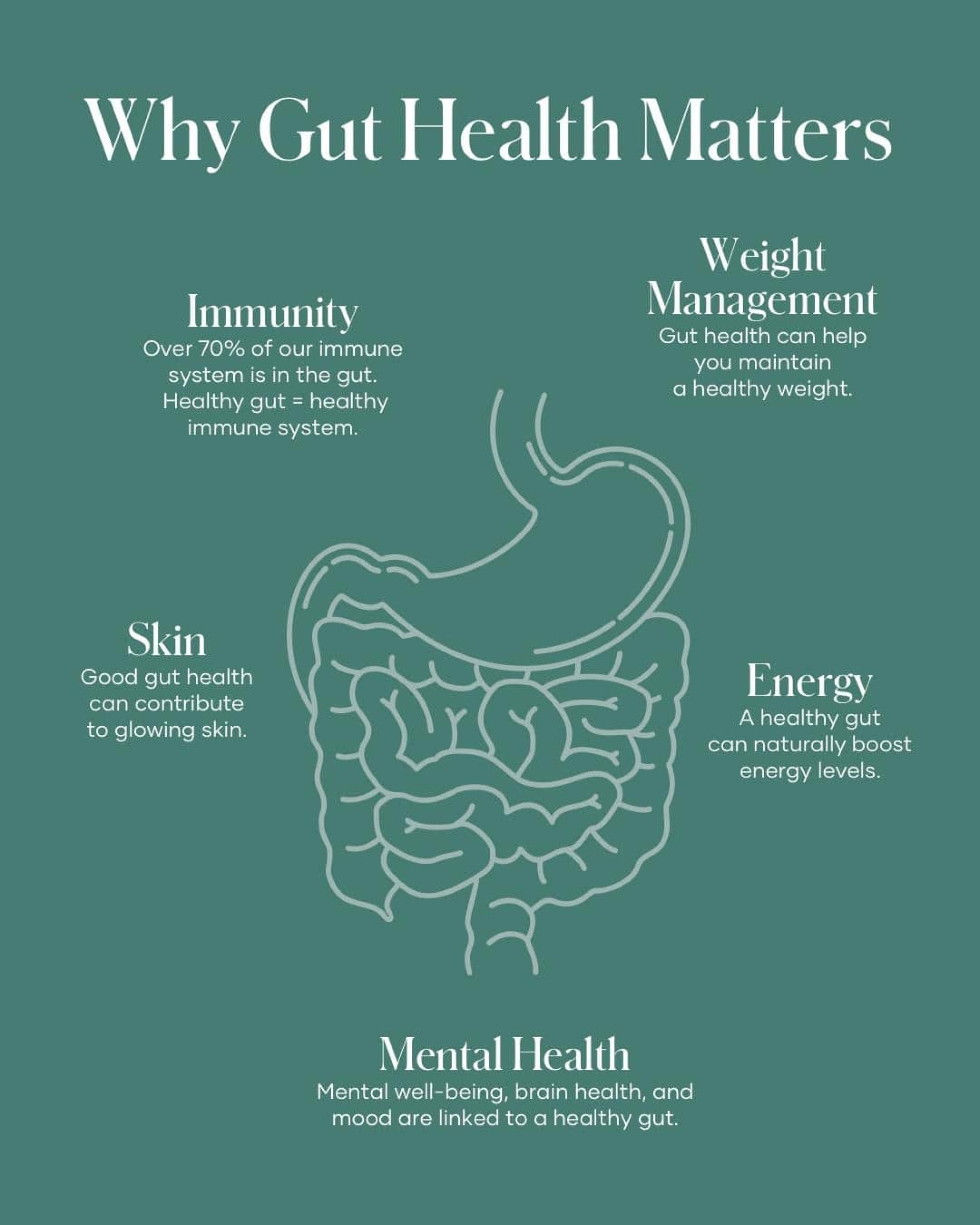 gut wellness