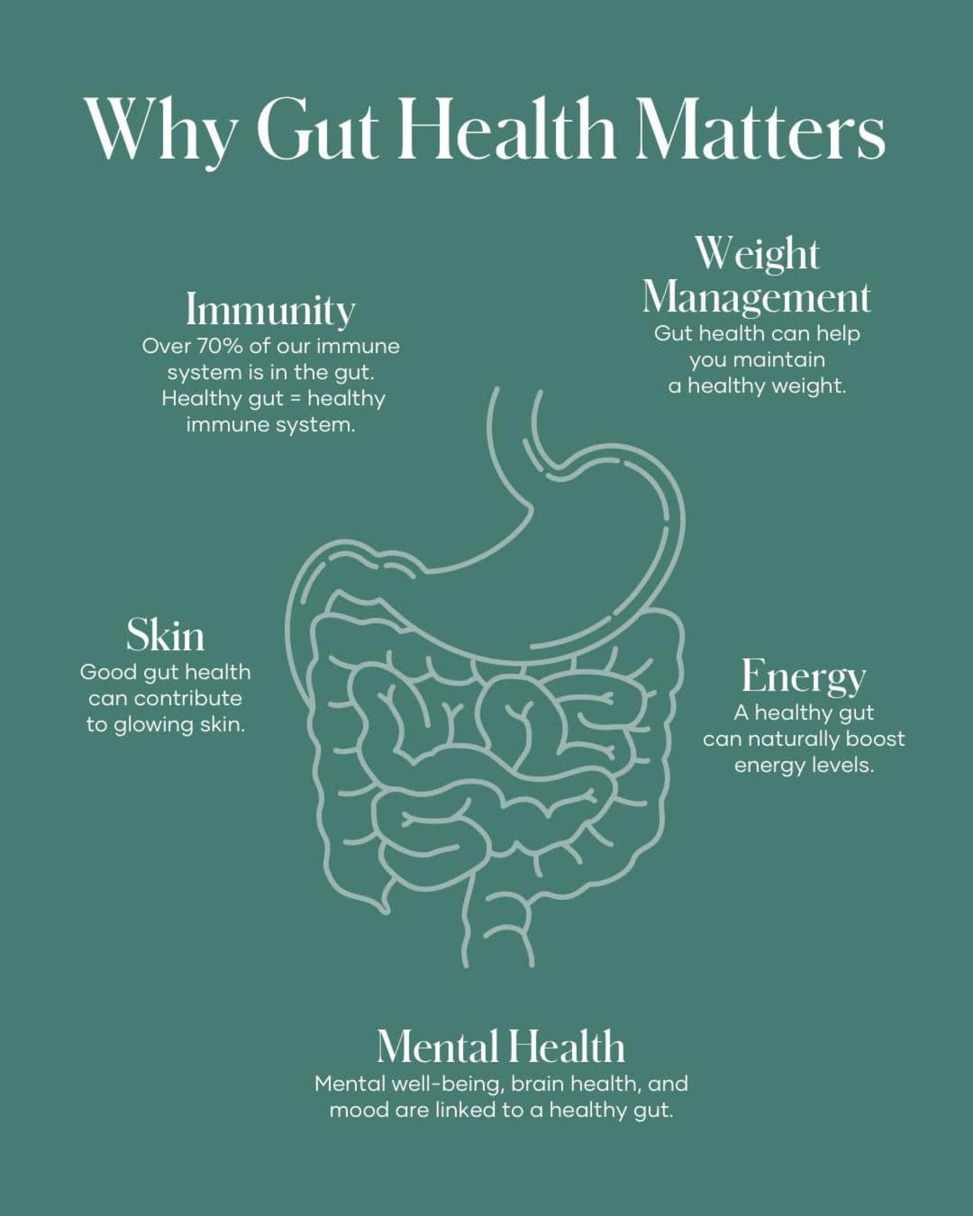 gut wellness